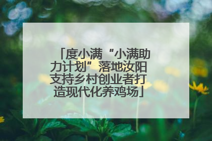 度小满“小满助力计划”落地汝阳支持乡村创业者打造现代化养鸡场